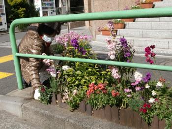 2011.03.12 sarugaku gardening CIMG0614.JPG